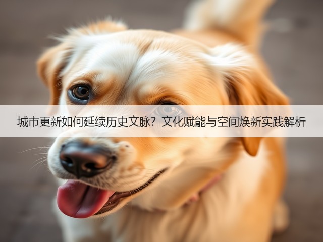 城市更新如何延续历史文脉?文化赋能与空间焕新实践解析 城市更新如何延续历史文脉?文化赋能与空间焕新实践解析