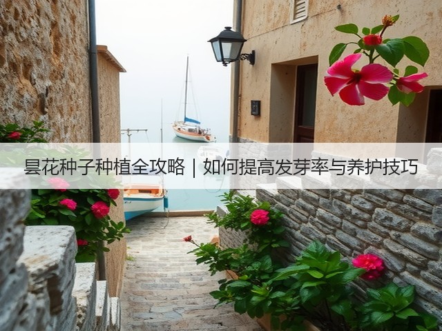 昙花种子种植全攻略｜如何提高发芽率与养护技巧