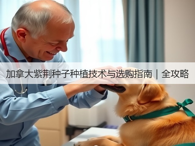 加拿大紫荆种子种植技术与选购指南｜全攻略