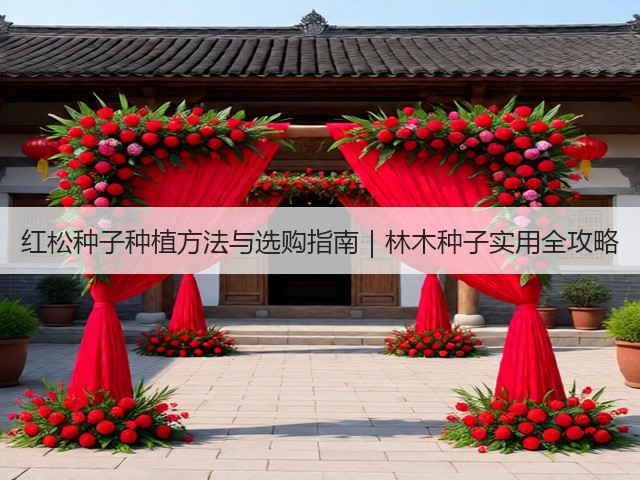 红松种子种植方法与选购指南｜林木种子实用全攻略