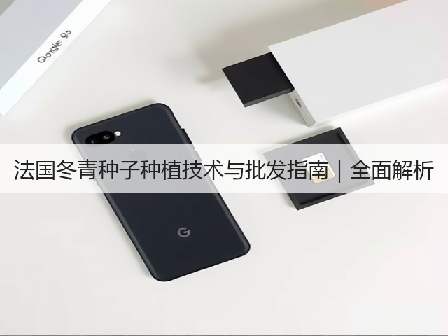 法国冬青种子种植技术与批发指南｜全面解析