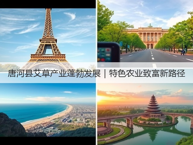 唐河县艾草产业蓬勃发展|特色农业致富新路径 唐河县艾草产业蓬勃发展|特色农业致富新路径