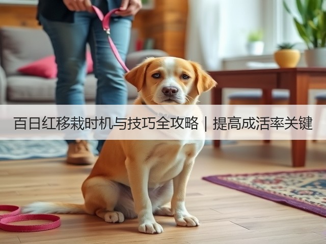百日红移栽时机与技巧全攻略|提高成活率关键 百日红移栽时机与技巧全攻略|提高成活率关键