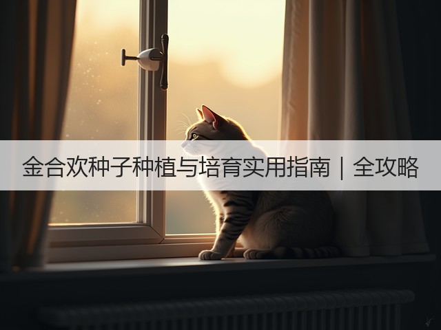 金合欢种子种植与培育实用指南｜全攻略