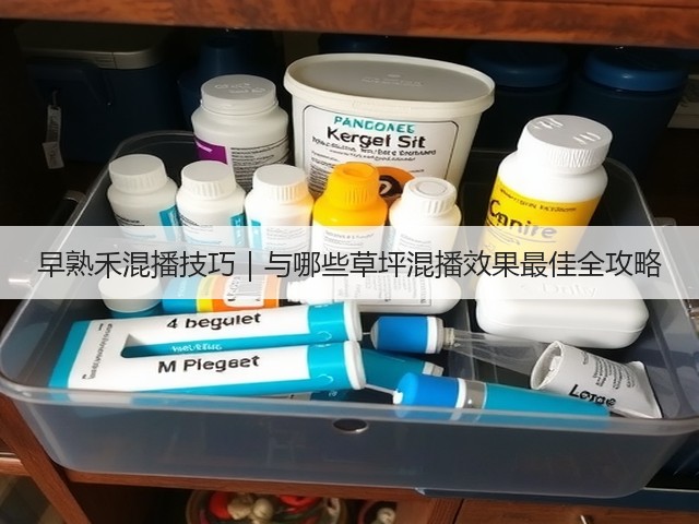 早熟禾混播技巧｜与哪些草坪混播效果最佳全攻略