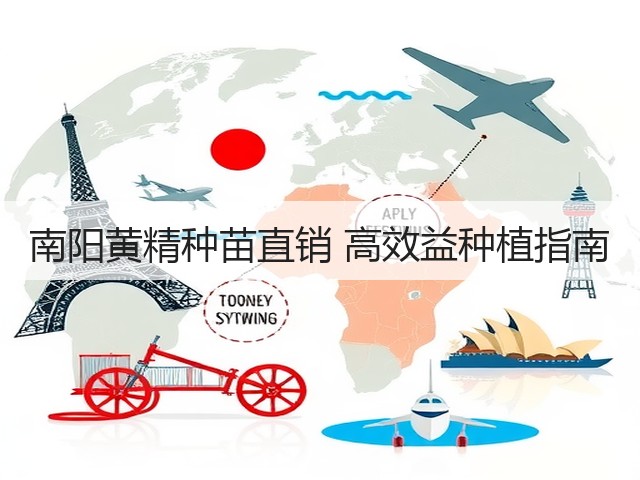 南阳黄精种苗直销 高效益种植指南 南阳黄精种苗直销 高效益种植指南