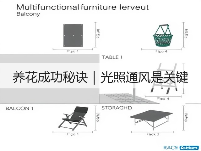 养花成功秘诀|光照通风是关键 养花成功秘诀|光照通风是关键