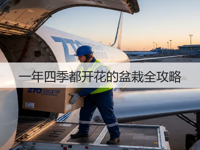 一年四季都开花的盆栽全攻略 一年四季都开花的盆栽全攻略