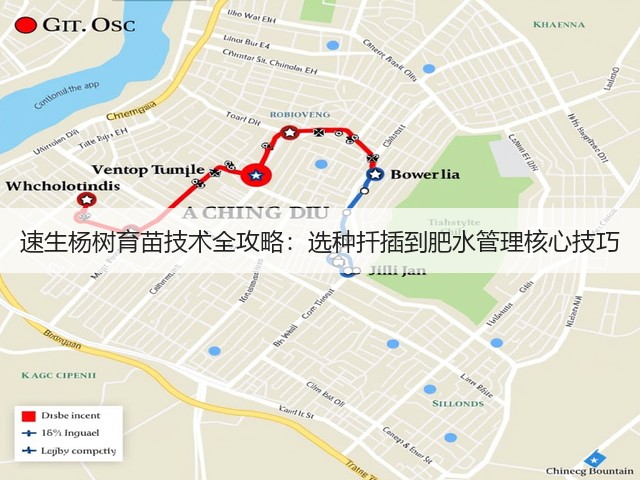 速生杨树育苗技术全攻略:选种扦插到肥水管理核心技巧 速生杨树育苗技术全攻略:选种扦插到肥水管理核心技巧