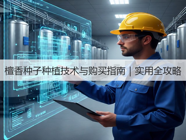 檀香种子种植技术与购买指南｜实用全攻略