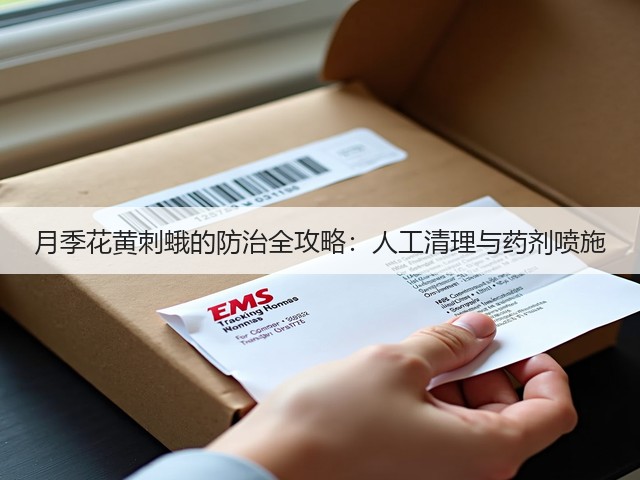 月季花黄刺蛾的防治全攻略：人工清理与药剂喷施