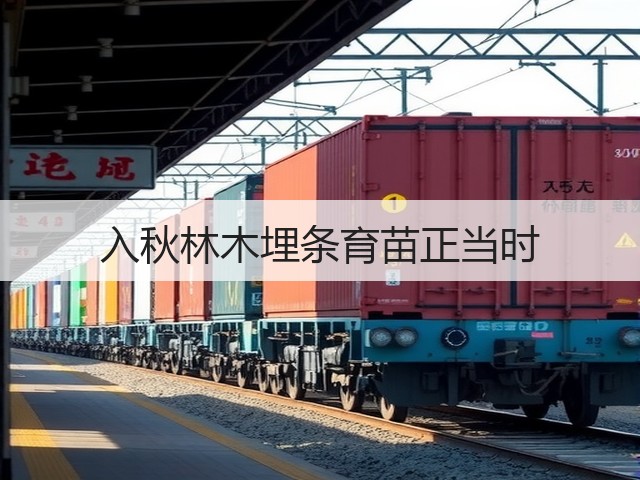 入秋林木埋条育苗正当时 入秋林木埋条育苗正当时