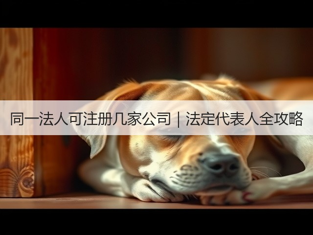 同一法人可注册几家公司|法定代表人全攻略 同一法人可注册几家公司|法定代表人全攻略