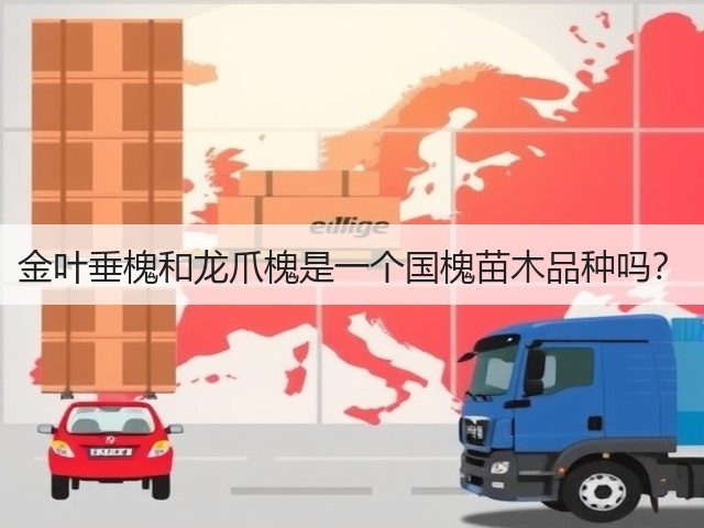 金叶垂槐和龙爪槐是一个国槐苗木品种吗? 金叶垂槐和龙爪槐是一个国槐苗木品种吗?