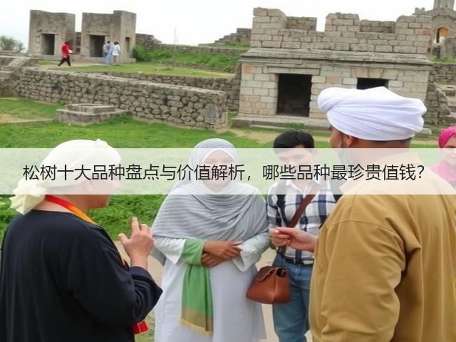 松树十大品种盘点与价值解析，哪些品种最珍贵值钱？
