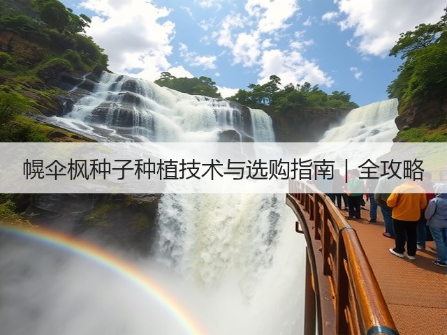 幌伞枫种子种植技术与选购指南｜全攻略