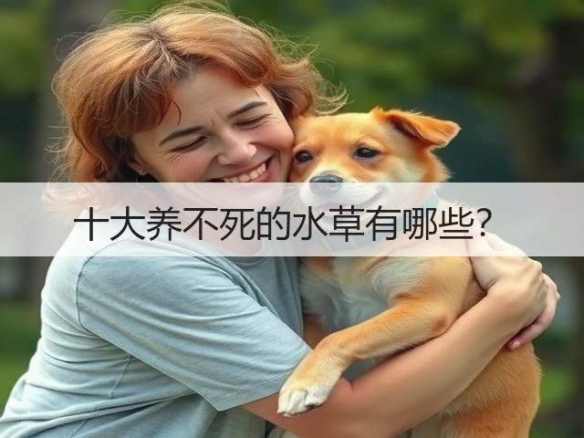 十大养不死的水草有哪些? 十大养不死的水草有哪些?