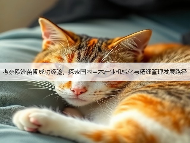 考察欧洲苗圃成功经验,探索国内苗木产业机械化与精细管理发展路径 考察欧洲苗圃成功经验,探索国内苗木产业机械化与精细管理发展路径
