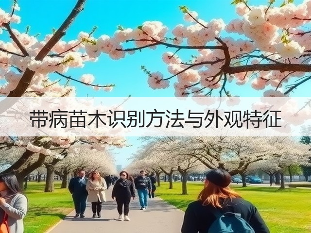 带病苗木识别方法与外观特征