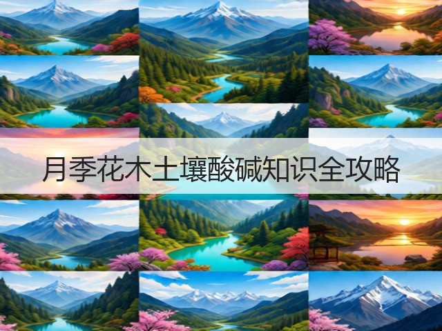 月季花木土壤酸碱知识全攻略