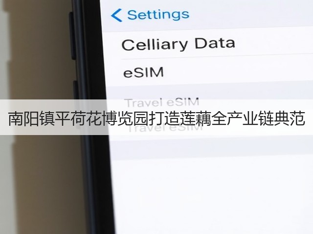 南阳镇平荷花博览园打造莲藕全产业链典范 南阳镇平荷花博览园打造莲藕全产业链典范