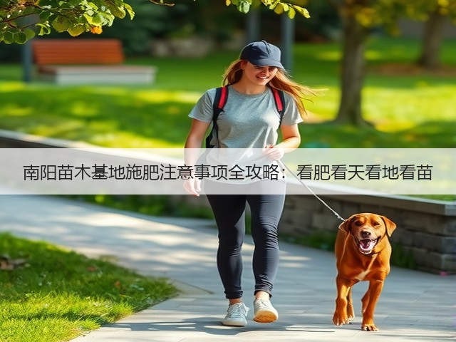 南阳苗木基地施肥注意事项全攻略:看肥看天看地看苗 南阳苗木基地施肥注意事项全攻略:看肥看天看地看苗