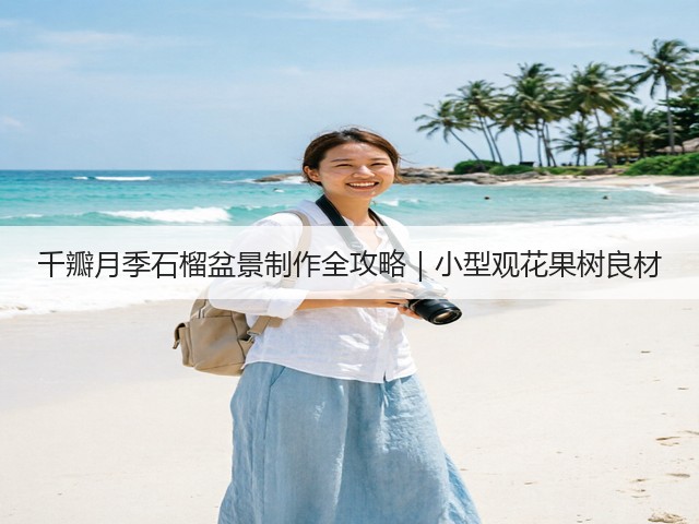 千瓣月季石榴盆景制作全攻略|小型观花果树良材 千瓣月季石榴盆景制作全攻略|小型观花果树良材