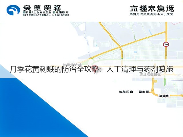 月季花黄刺蛾的防治全攻略：人工清理与药剂喷施