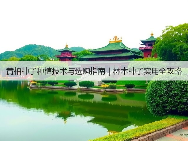 黄柏种子种植技术与选购指南｜林木种子实用全攻略