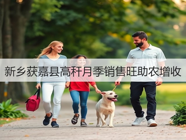 新乡获嘉县高秆月季销售旺助农增收 新乡获嘉县高秆月季销售旺助农增收