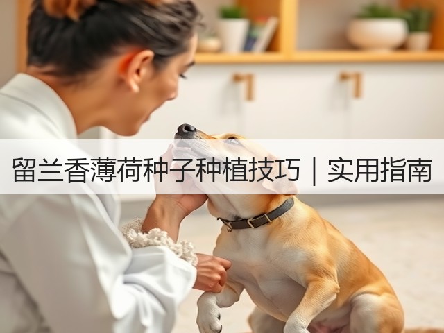 留兰香薄荷种子种植技巧｜实用指南
