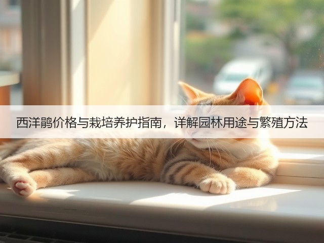 西洋鹃价格与栽培养护指南，详解园林用途与繁殖方法