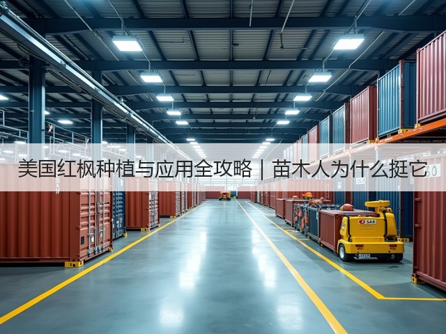 美国红枫种植与应用全攻略|苗木人为什么挺它 美国红枫种植与应用全攻略|苗木人为什么挺它
