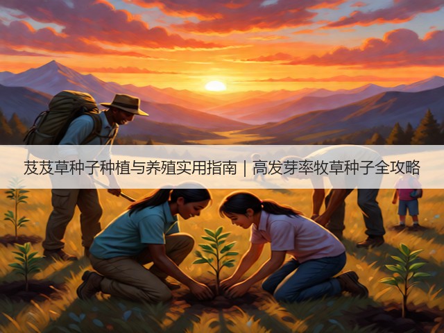 芨芨草种子种植与养殖实用指南｜高发芽率牧草种子全攻略