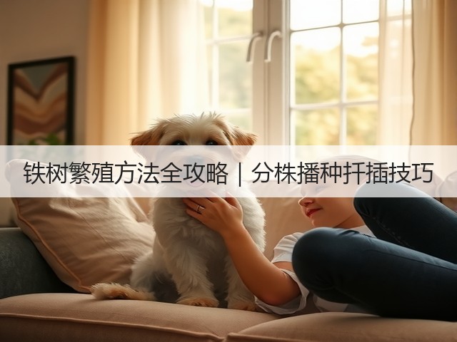 铁树繁殖方法全攻略|分株播种扦插技巧 铁树繁殖方法全攻略|分株播种扦插技巧