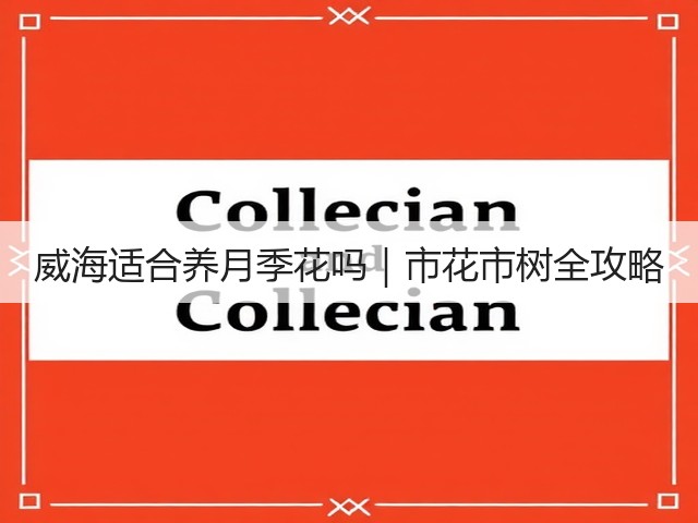 威海适合养月季花吗|市花市树全攻略 威海适合养月季花吗|市花市树全攻略