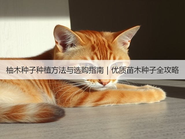 柚木种子种植方法与选购指南｜优质苗木种子全攻略