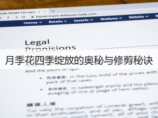 月季花四季绽放的奥秘与修剪秘诀