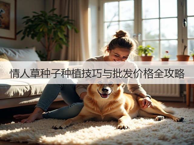 情人草种子种植技巧与批发价格全攻略