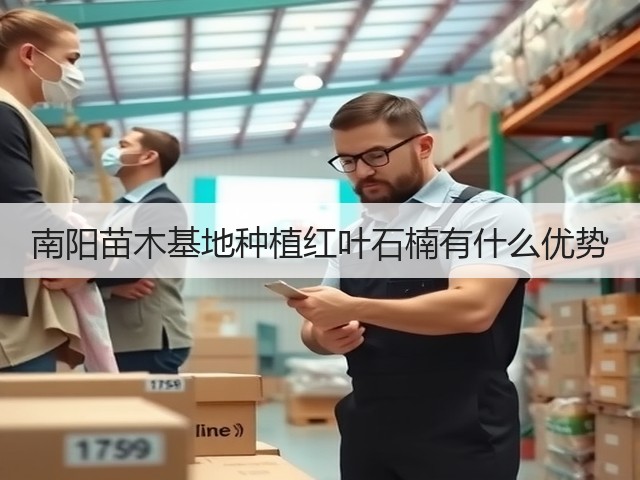 南阳苗木基地种植红叶石楠有什么优势 南阳苗木基地种植红叶石楠有什么优势
