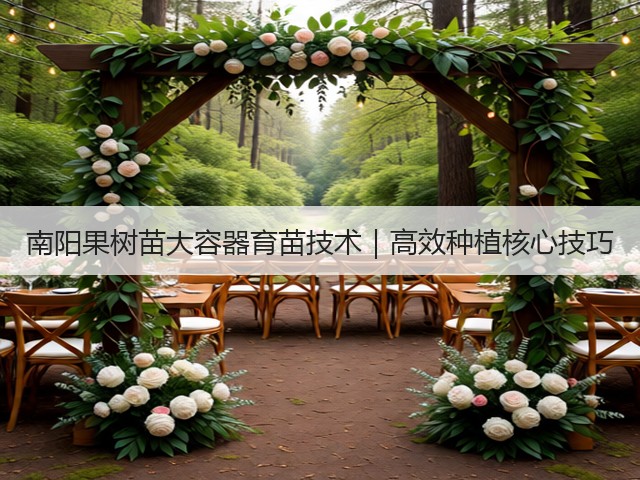 南阳果树苗大容器育苗技术|高效种植核心技巧 南阳果树苗大容器育苗技术|高效种植核心技巧