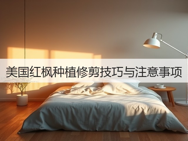 美国红枫种植修剪技巧与注意事项 美国红枫种植修剪技巧与注意事项