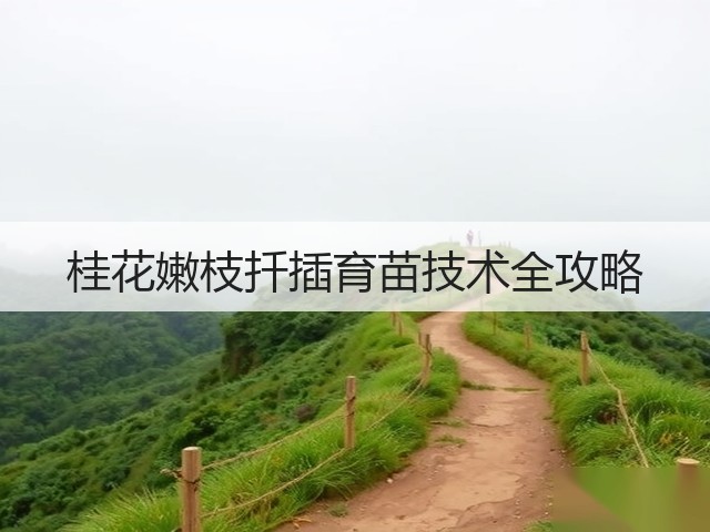 桂花嫩枝扦插育苗技术全攻略