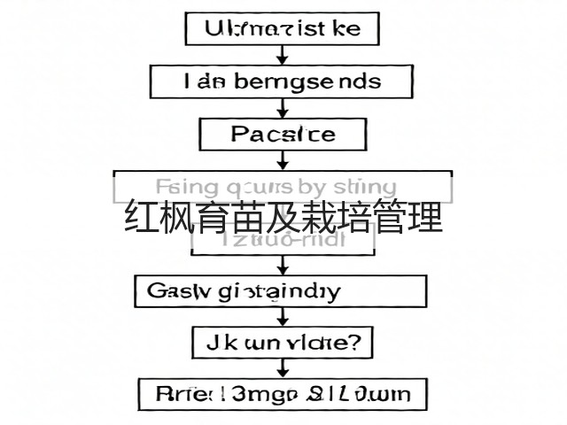 红枫育苗及栽培管理 红枫育苗及栽培管理
