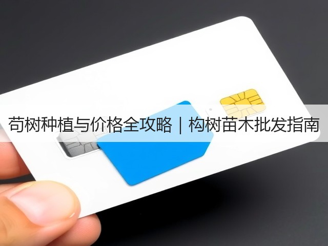 苟树种植与价格全攻略|构树苗木批发指南 苟树种植与价格全攻略|构树苗木批发指南
