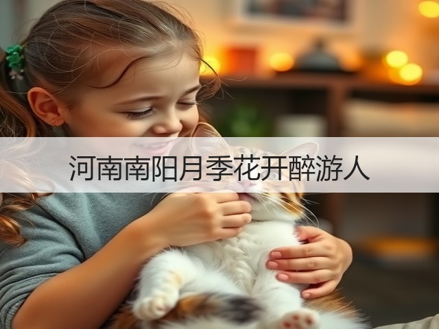 河南南阳月季花开醉游人 河南南阳月季花开醉游人