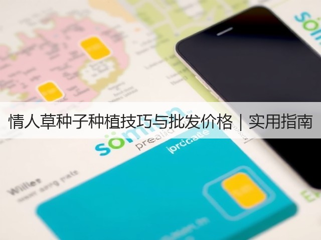 情人草种子种植技巧与批发价格｜实用指南