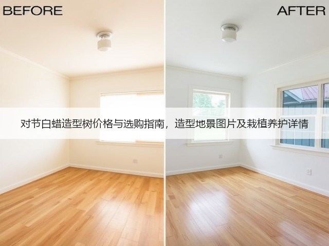 对节白蜡造型树价格与选购指南，造型地景图片及栽植养护详情