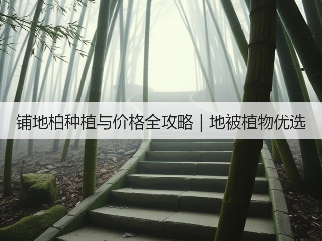 铺地柏种植与价格全攻略｜地被植物优选