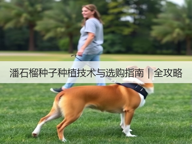 潘石榴种子种植技术与选购指南｜全攻略